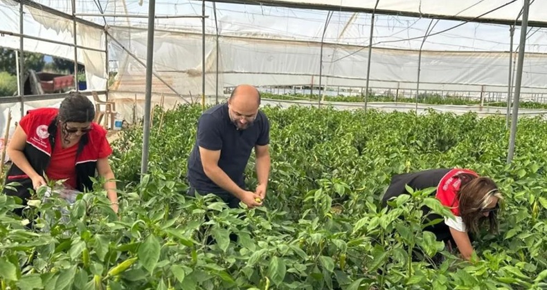 Edremit’te hasat öncesi pestisit numunesi alındı