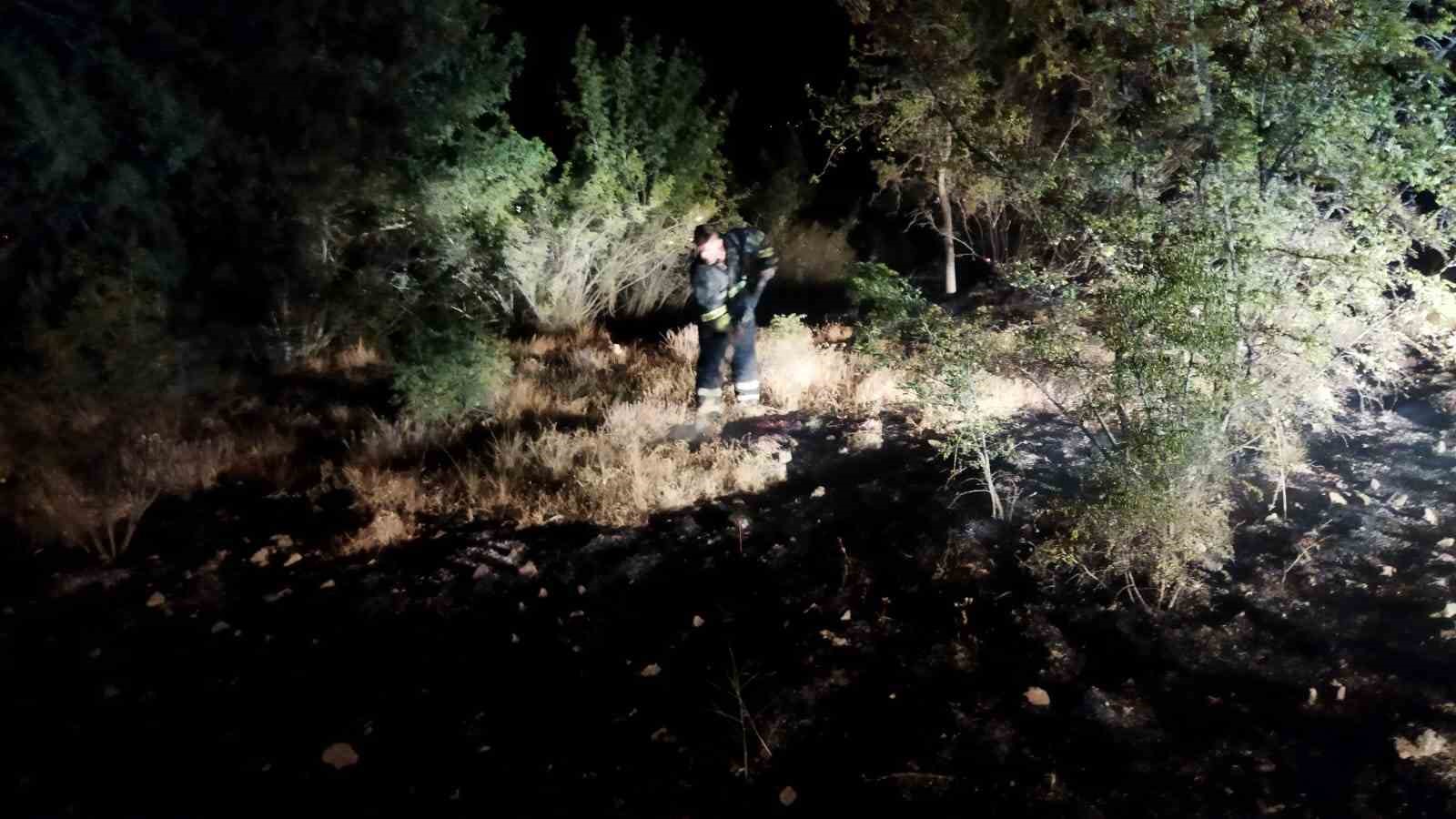 Ekipler seferber oldu, örtü yangını ormana sıçramadan söndürüldü