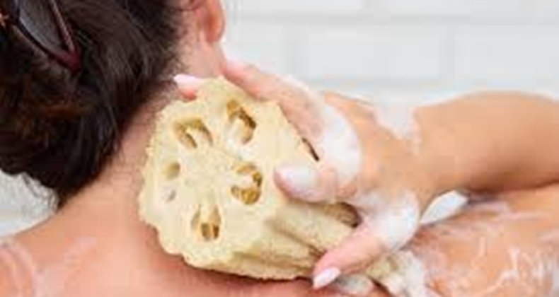 Doğadan Gelen Mucize: Kabak Lifi Hem Doğal Hem Çok Yönlü