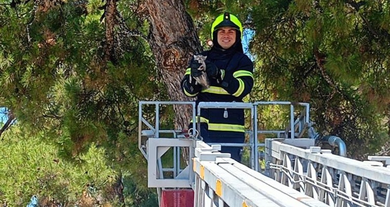 Balıkesir itfaiyesinden kedi kurtarma operasyonu