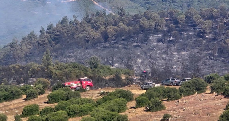Balıkesir’deki orman yangınına havadan müdahale tekrar başladı