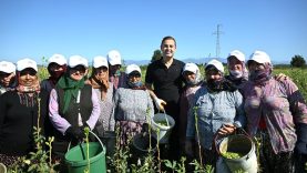 Akın: Bu topraklarda birlik var, beraberlik var