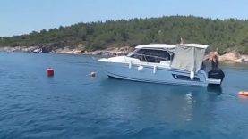 Ayvalık Adaları’nda deniz çayırları korunuyor