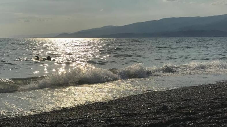 Balıkesir Altınkum Plajı İçin Son Fırsat 2026 Yazı İçin Acil Eylem Çağrısı