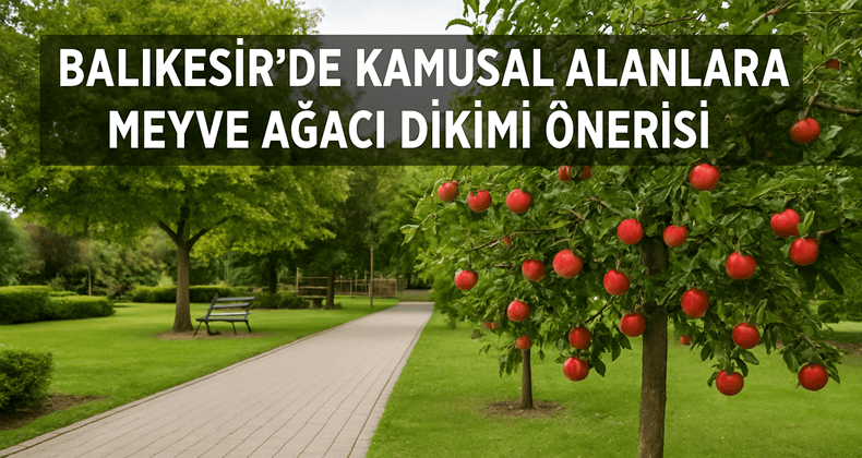 Balıkesir’de kamusal alanlara meyve ağacı dikilse nasıl olur?