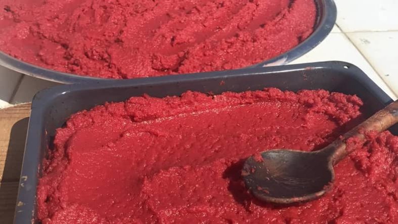 Güneşte Kurutulmuş Domates Salçası Yapımı Balıkesirli Kadınların Lezzet Sırları