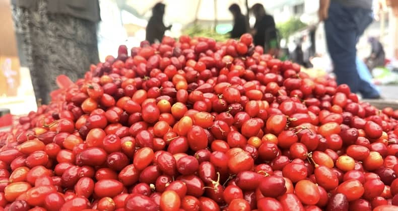 Şifa deposu kızılcıklar Balıkesir’deki pazar tezgahlarında yerini aldı