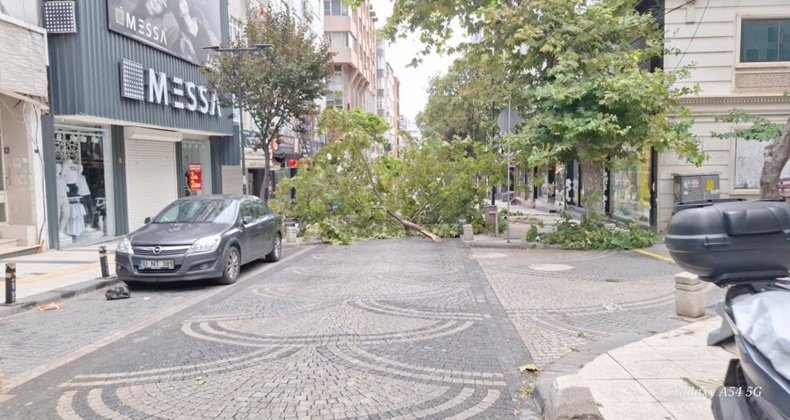 Bandırma’da gece yarısı fırtına: Ağaçlar devrildi, araçlar zarar gördü