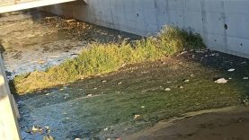 Balıkesir’de bitmeyen Çay Deresi ıslah çalışmaları vatandaşı isyan ettirdi