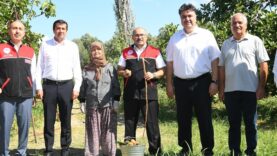 Balıkesir Havran’da İncir Hasadı Başladı