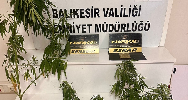 kenevir