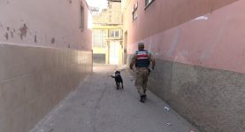 Kilis’te 2 yaşındaki kız çocuğu kayboldu