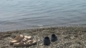 Altınkum’un Arıtma Sorunu Edremit Körfezi’nin Gündeminden Düşmüyor