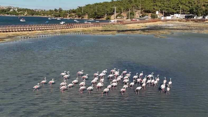 Ayvalık ve Cunda’nın Tadını Çıkarma Zamanı
