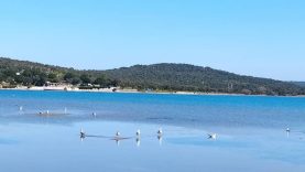 Ayvalık’ta Fotoğrafçılar İçin Sonbahar Işıkları