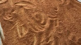 Balıkesir Mutfağında Unutulmaz Tat: Kışlık Tarhana Hazırlıkları