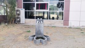 Balıkesir Sokak Hayvanlarını Unutmuyor: Mama ve Su Noktaları Artıyor