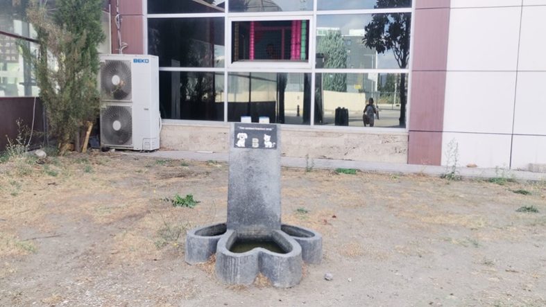 Balıkesir Sokak Hayvanlarını Unutmuyor Mama ve Su Noktaları Artıyor