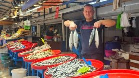 Balıkesir’de balıkta bolluk beklentisi soğuklara kaldı