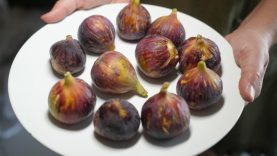 Daha sağlıklı yaşamak için inciri kabuğu ile yiyin