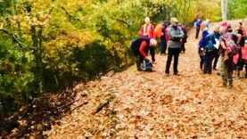 Hafta Sonu Kaçamakları İçin Kazdağları’nın En Güzel Yürüyüş Rotaları