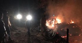 İvrindi’de hayvan damı yandı