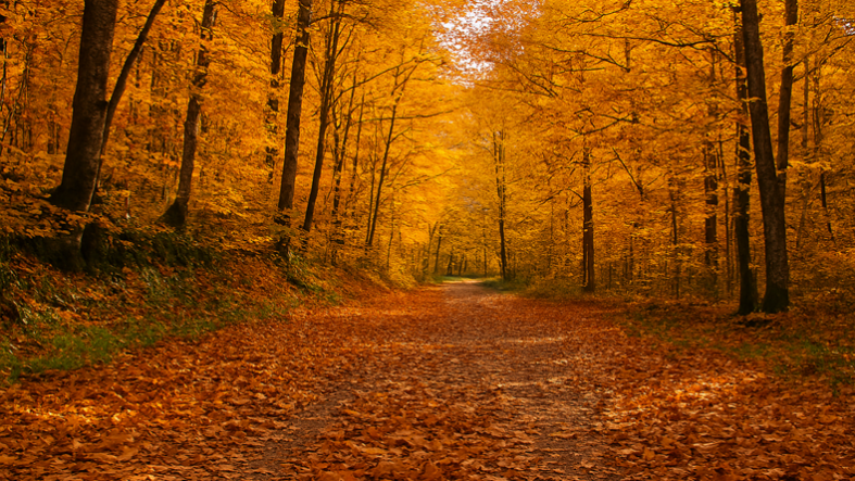 Kazdağları’nda Sonbahar Rotaları 2025’te Mutlaka Görülmesi Gereken 5 Yer