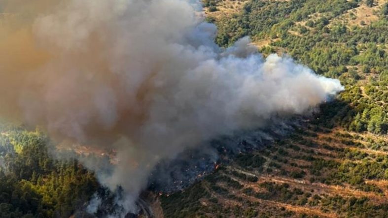 Kepsut'ta orman yangını başladı