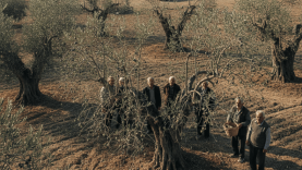 Zeytinyağında Rekor Fiyat Beklentisi: Balıkesirli Tüketicinin Sofrasına Nasıl Yansıyacak?