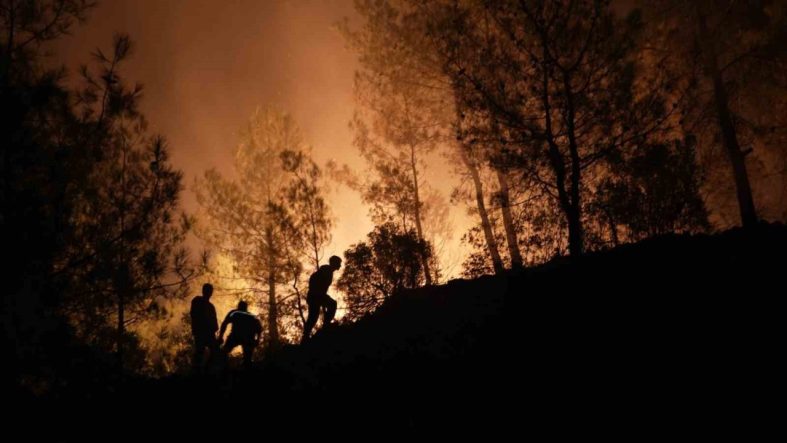 Ateş savaşçılarının yeşil vatan mücadelesi sürüyor