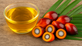 Palm Yağı Tartışması: Faydaları ve Zararları