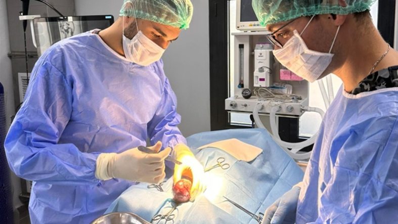 Balıkesir Büyükşehir Belediyesi, Balıkesirde bir ilki gerçekleştirerek Gofret’i hayata döndürdü