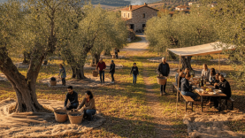 Balıkesir’de Agro Turizme İlgi Artıyor