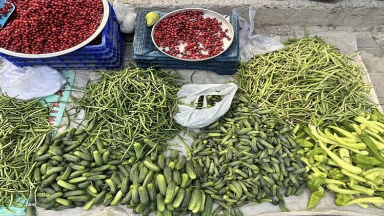 Balıkesir’de Kış Hazırlıkları Pazarlarda Kurutmalık ve Turşuluk Telaşı