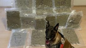 Balıkesir’de Narkotik Operasyonu: 12 Kilo 600 Gram Skunk Ele Geçirildi