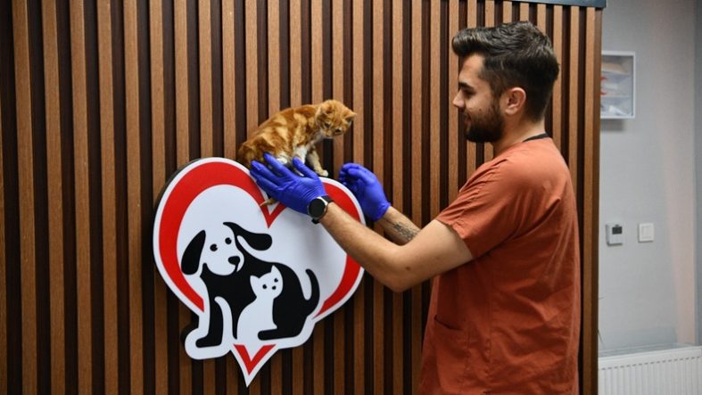 Balıkesir’de can dostlar Büyükşehir eliyle güvende