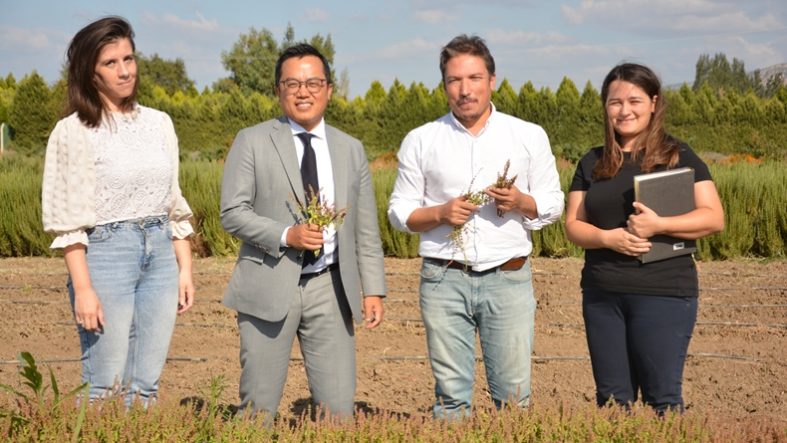 Hindistan Başkonsolosu Shiri Mijito Vinito’dan BAÇEM’e Ziyaret