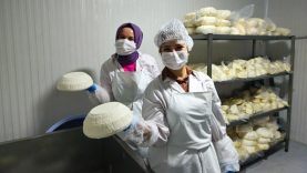 Sındırgı’da kadınlar üretiyor, doğal peynirler sofralara ulaşıyor