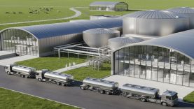 Süt Üretiminde Balıkesir mi Konya mı Önde?