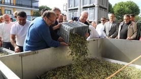 Tağşiş ile mücadelede en önemli ayak bilinçli tüketici