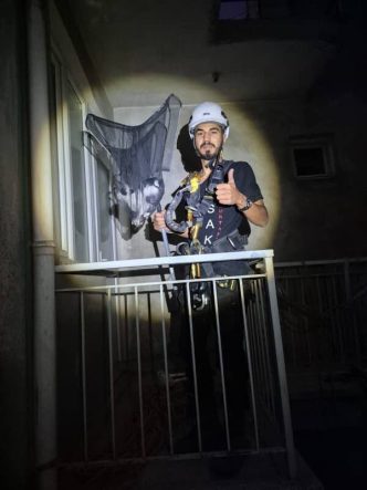 Apartman boşluğunda mahsur kalan yavru kedi kurtarıldı