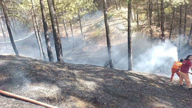 Bingöl’de çıkan orman yangını büyümeden söndürüldü