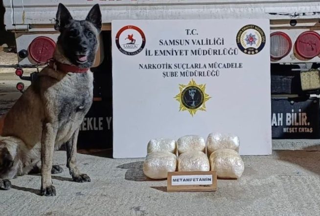 Kamyonete gizlenmiş uyuşturucuyu dedektör köpeği buldu: 4 kilo uyuşturucu ve 4 bin adet hap ele geçti