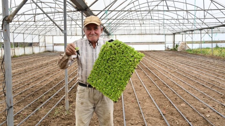 Balıkesir Büyükşehir desteğiyle topraklar bereketlendi