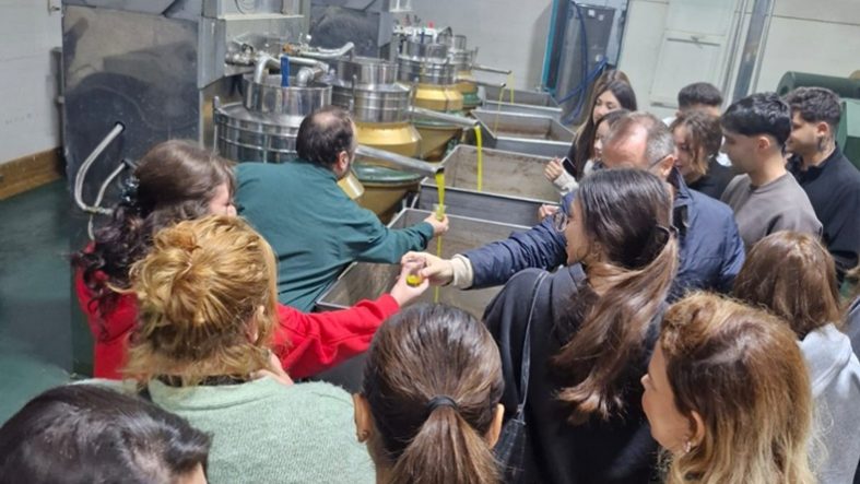 Balıkesir’de Zeytincilik Eğitimi MYO Öğrencileri Teknik Gezi ile Deneyim Kazandı