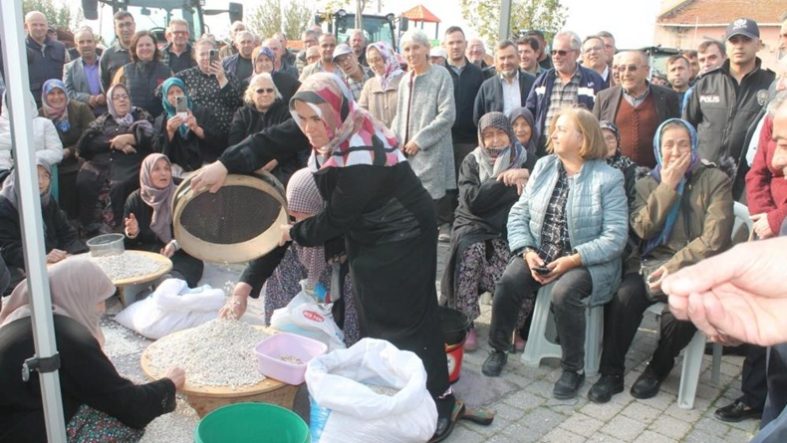 Balıkesir'de coğrafi işaretli Kazak fasulyesinde ilk hasat festivali yapıldı