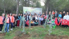 Burhaniye’de 400 fidan toprakla buluştu