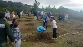 Edremit’te C-130 kazası şehitleri için fidanlar dikildi