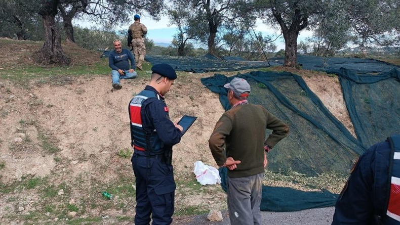 Edremit’te zeytin hırsızlığına karşı komandolar sahada