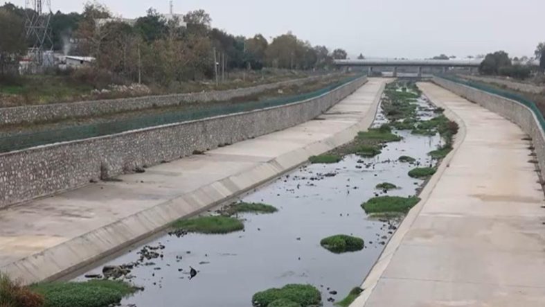 Gönen Çayı'nda ekolojik çöküş Bilim insanlarından acil eylem çağrısı